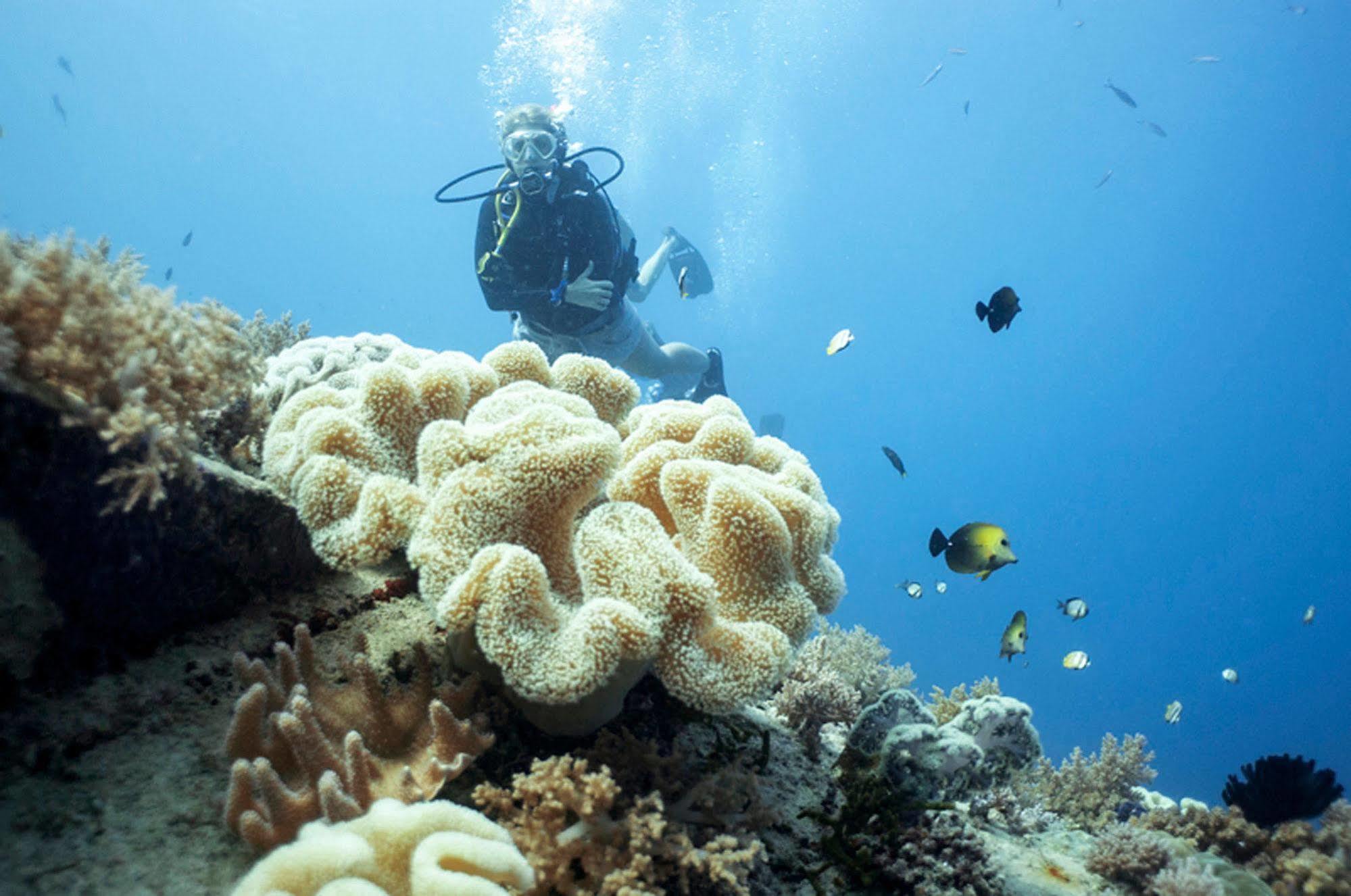 Manta Dive Gili Air Resort Eksteriør billede