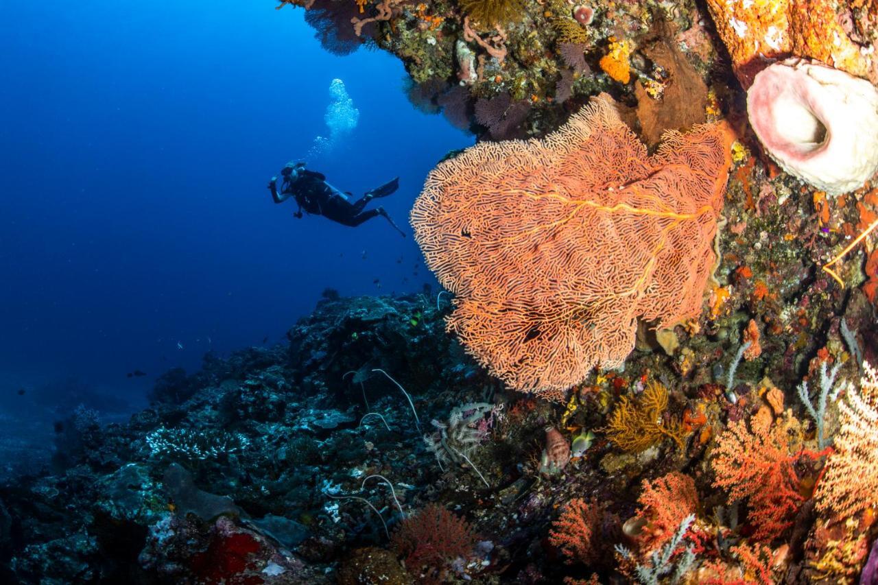 Manta Dive Gili Air Resort Eksteriør billede